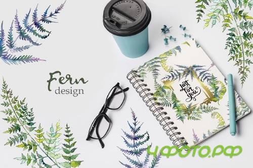 Fern Watercolor png - 3932364