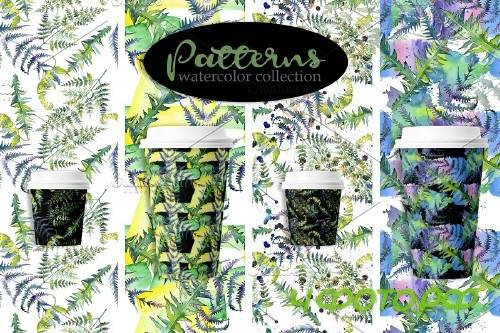 Fern Watercolor png - 3932364