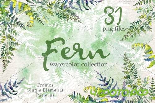 Fern Watercolor png - 3932364