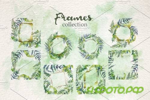 Fern Watercolor png - 3932364