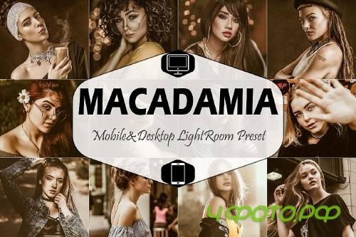 Macadamia Mobile & Desktop Lightroom Presets, Brown LR - 289076