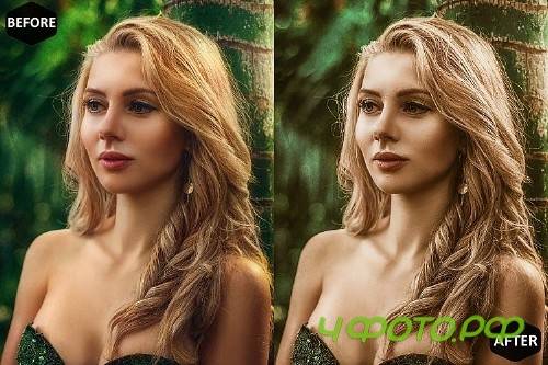 Macadamia Mobile & Desktop Lightroom Presets, Brown LR - 289076