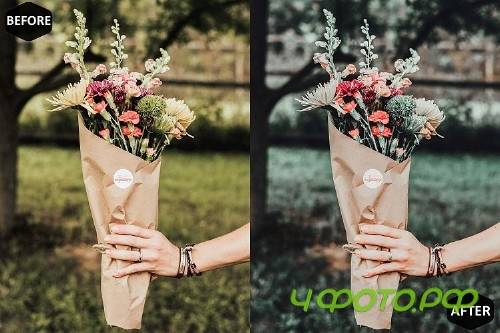 Forest Photoshop Actions And ACR Presets, Aqua Plant Ps - 289099
