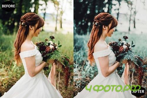 Forest Photoshop Actions And ACR Presets, Aqua Plant Ps - 289099