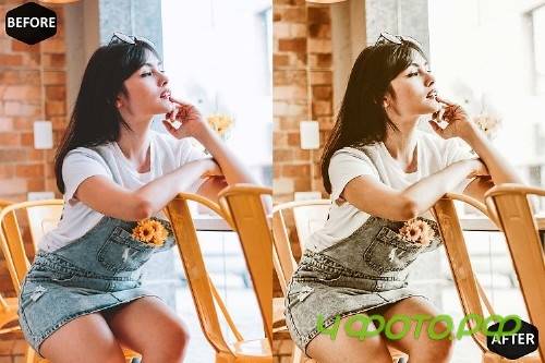 Macadamia Mobile & Desktop Lightroom Presets, Brown LR - 289076