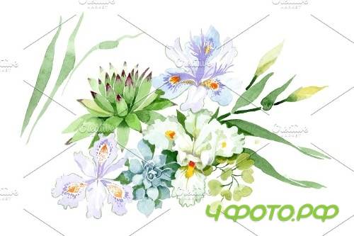 Bouquet with white irises watercolor - 3951091