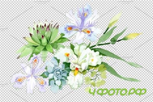Bouquet with white irises watercolor - 3951091