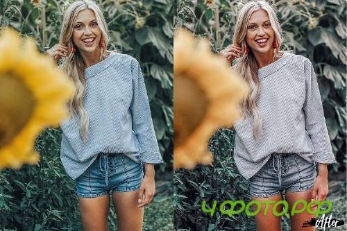 5 Blush Mobile Lightroom Presets, wonderland pink Adobe LR - 292469