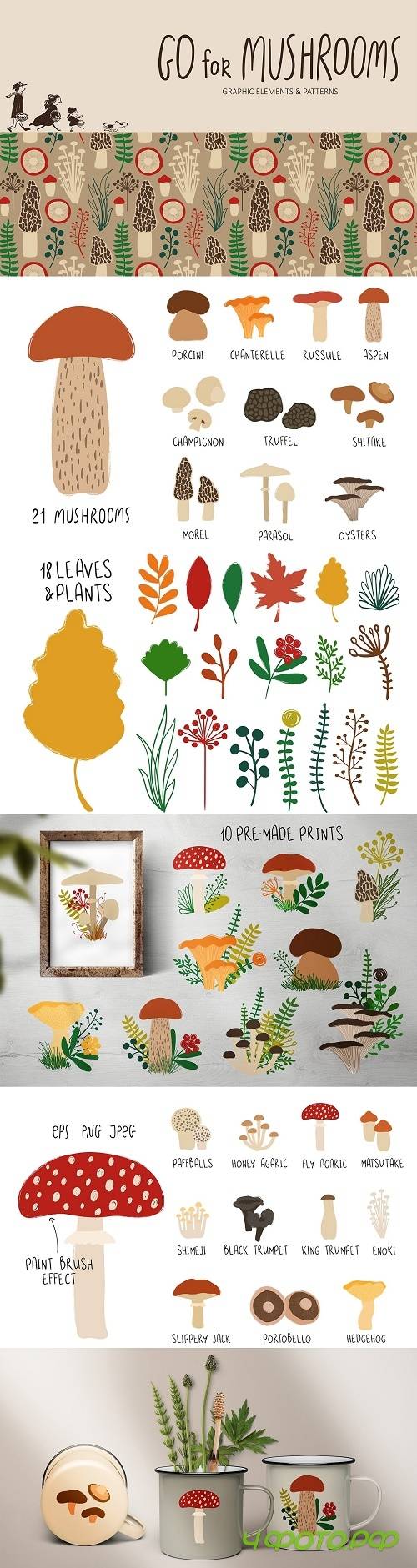 Go for Mushrooms. Forest Collection - 3933507