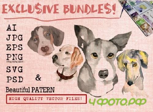 Cool Dog Bundles