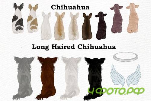 Dogs Clipart,Dog breeds Pet clipart - 3993651