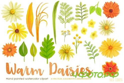 Warm Color Daisy Florals - 412555