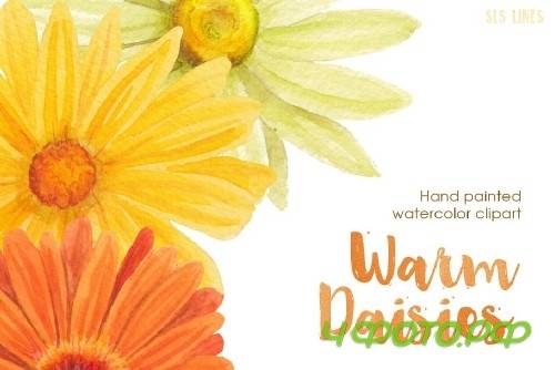 Warm Color Daisy Florals - 412555