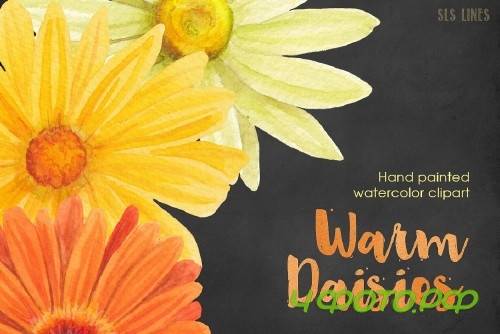 Warm Color Daisy Florals - 412555