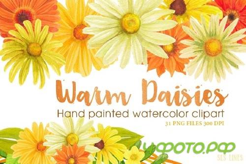 Warm Color Daisy Florals - 412555