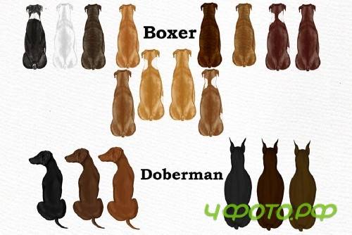 Dog Clipart, Dog breeds, Pet clipart - 4011293
