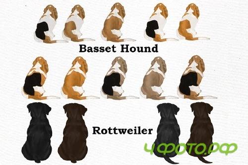 Dog Clipart, Dog breeds, Pet clipart - 4011293