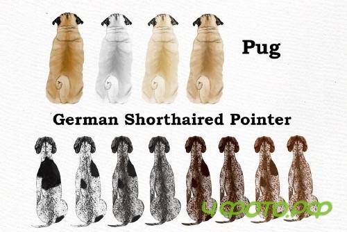 Dog Clipart, Dog breeds, Pet clipart - 4011293