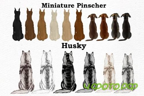 Dog Clipart, Dog breeds, Pet clipart - 4011293