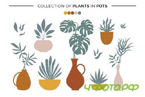 Modern Abstract Shapes and Plants