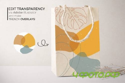 Modern Abstract Shapes and Plants