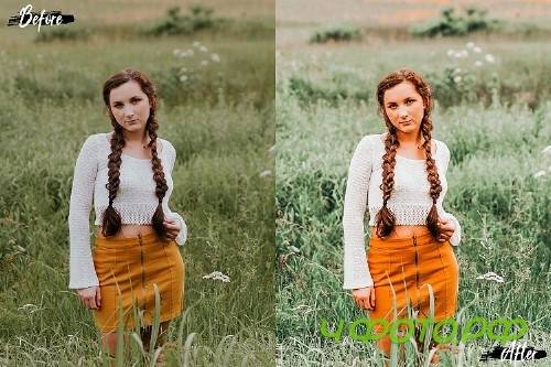 5 Summer Noon Desktop Lightroom Presets and ACR preset - 315828