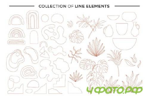 Modern Abstract Shapes and Plants