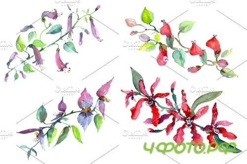 Bouquet of flowers Rainbow watercolor - 3997057
