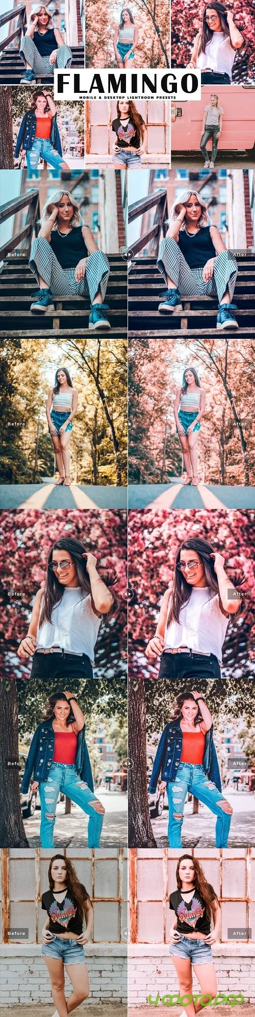 Flamingo Pro Lightroom Presets - 4080521