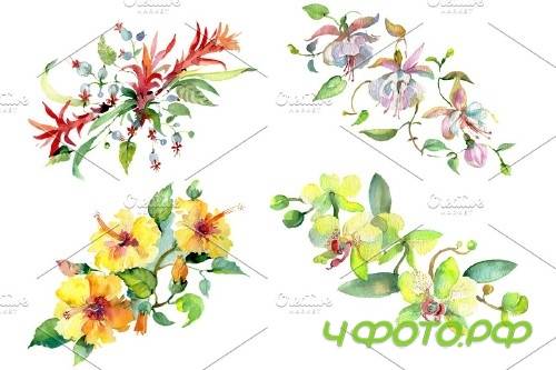 Bouquet of flowers Mozambique - 3996994 Bouquet of flowers Mozambique - 3996994