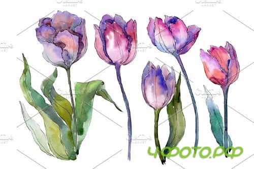 Bouquet with tulips Diodorus - 4026066