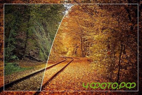 50 Autumn Mobile Lightroom Presets - 350423