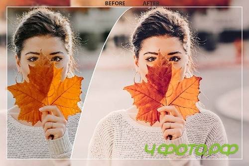 50 Autumn Mobile Lightroom Presets - 350423