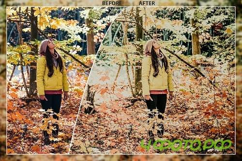 50 Autumn Mobile Lightroom Presets - 350423