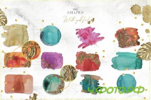 Tropical Watercolor Set - 2838049