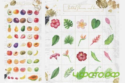 Tropical Watercolor Set - 2838049