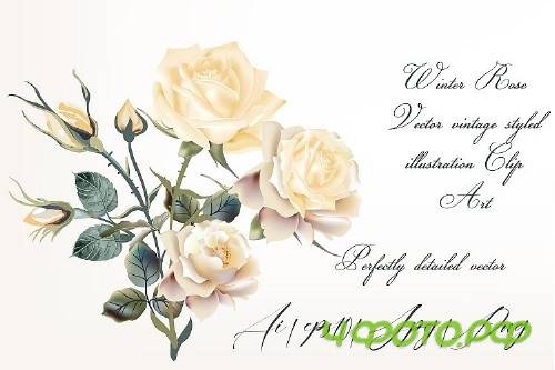 Beige rose vector high detailed clip art - 318100