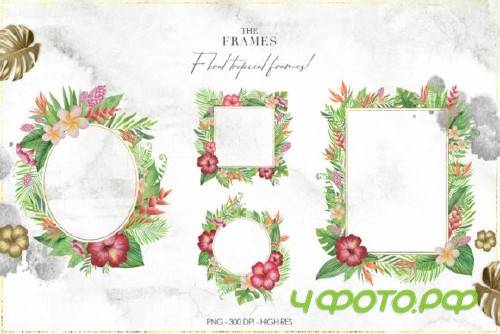 Tropical Watercolor Set - 2838049