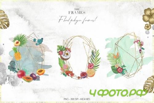 Tropical Watercolor Set - 2838049