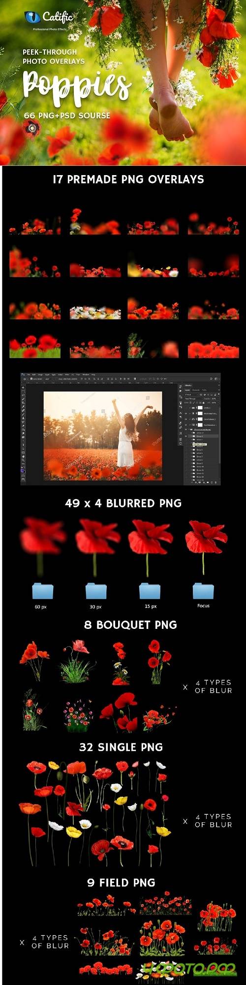 66+ Poppie Flowers Photo Overlays - 3019112