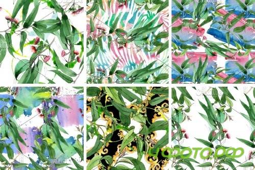 Eucalyptus branch Watercolor png - 4120898