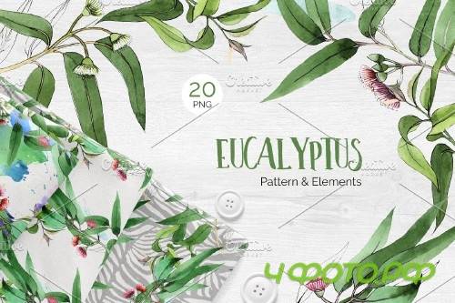 Eucalyptus branch Watercolor png - 4120898