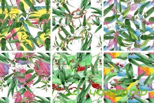 Eucalyptus branch Watercolor png - 4120898