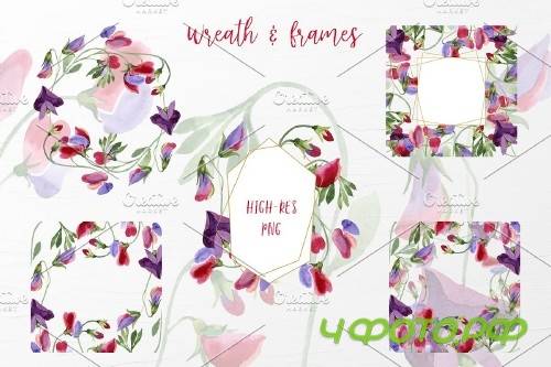Watercolor Flowers Sweet Pea PNG - 4119327
