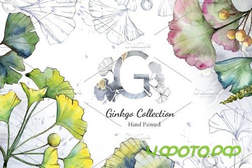 Green Ginkgo leaves Watercolor - 4119344
