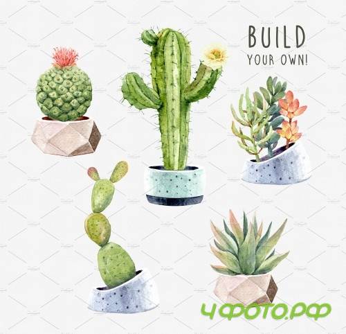 Watercolor Succulents, Cacti and Pot - 3654392