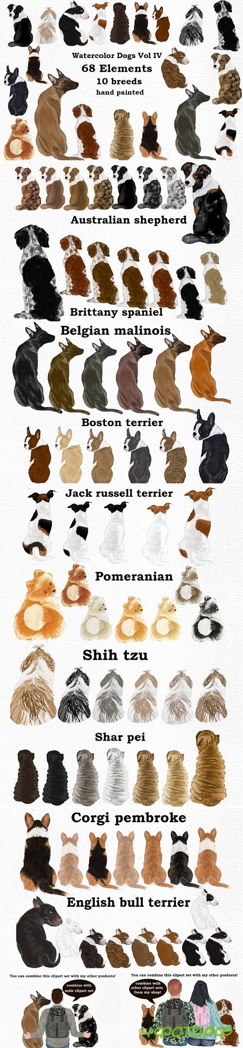 Dog Clipart, Dog breeds, Pet clipart - 4108776