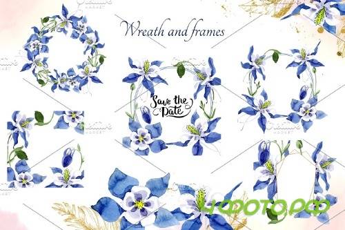 Watercolor flower Aquilegia blue - 4119295