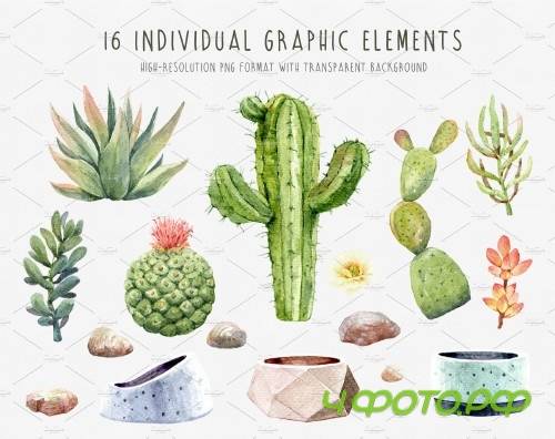 Watercolor Succulents, Cacti and Pot - 3654392