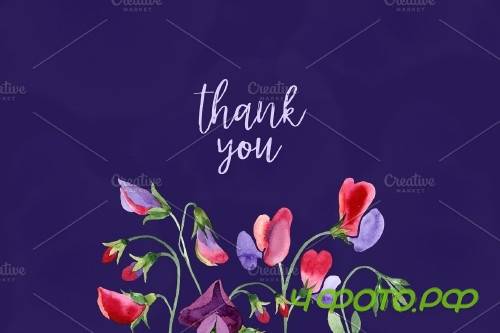 Watercolor Flowers Sweet Pea PNG - 4119327